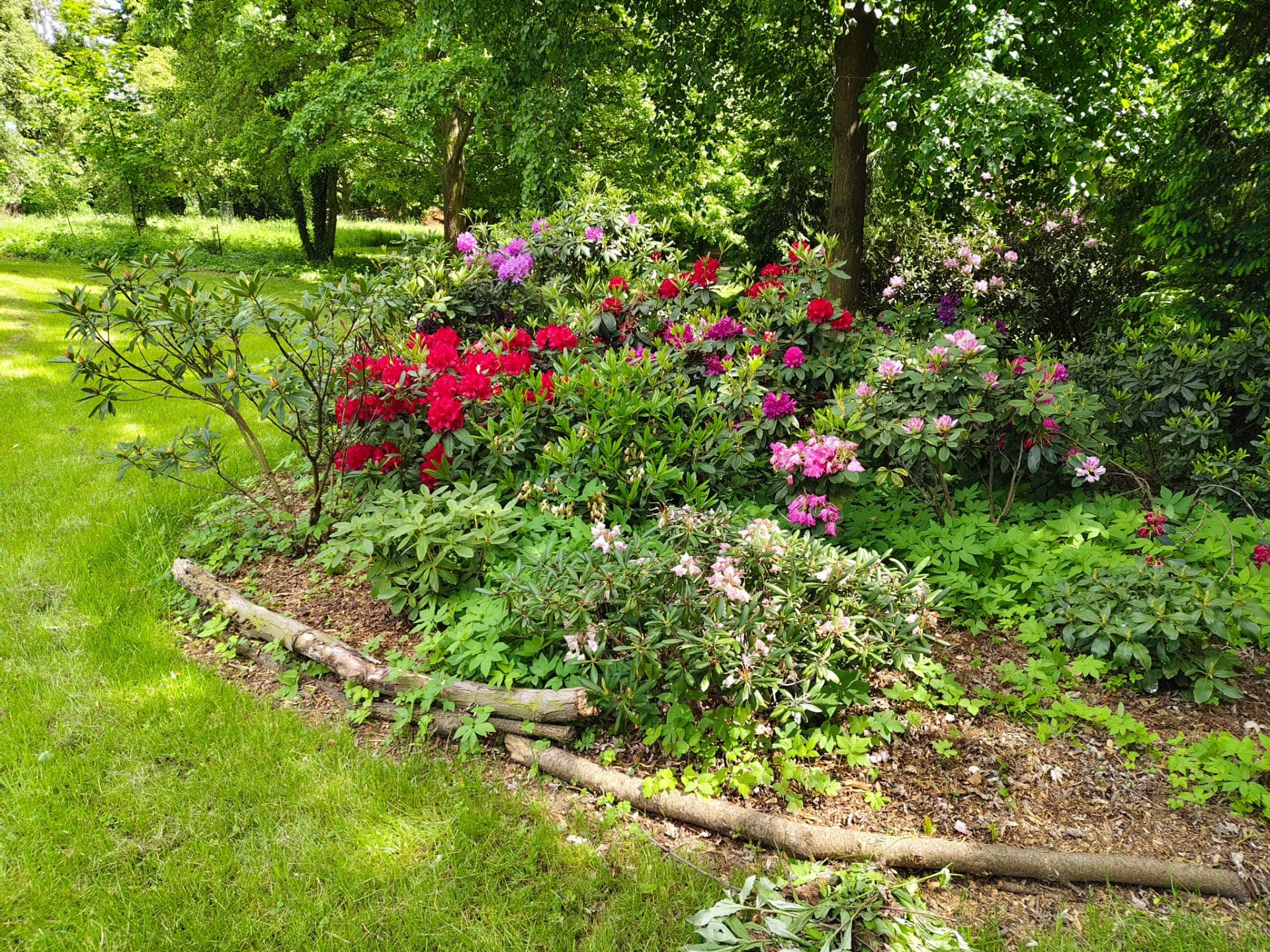 Gepflegter Garten mit blühenden Beeten und Rasenfläche